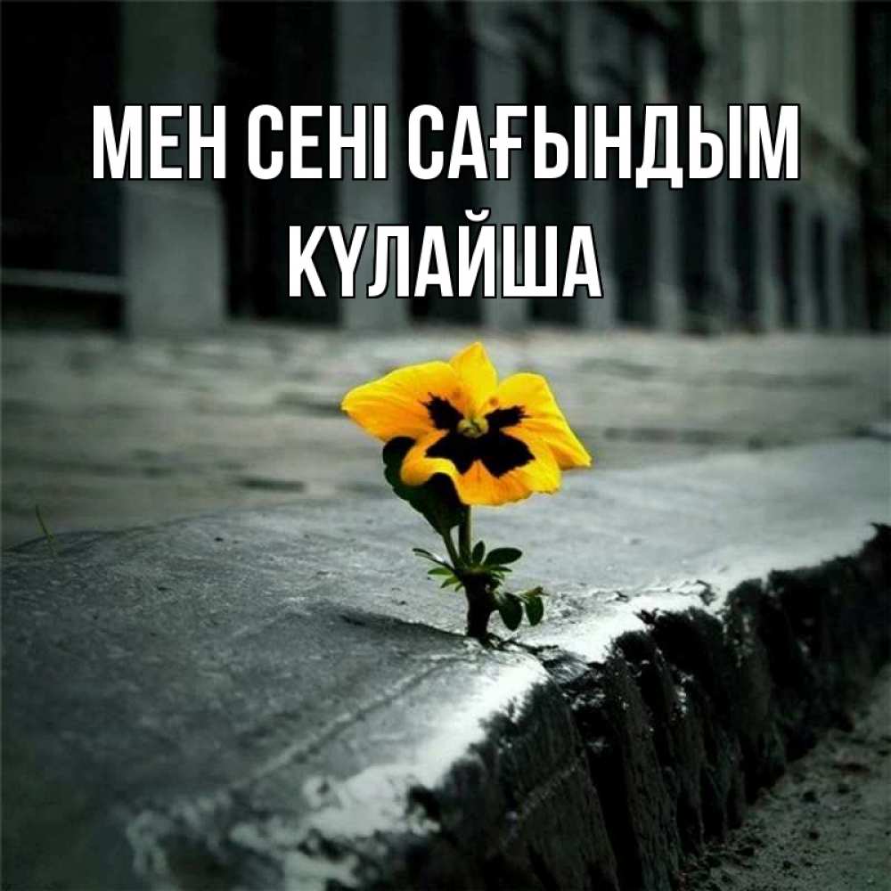 Күн сайын ашық хат с именем, КҮЛАЙША Мен сені сағындым надеюсь будет лучше Онлайн тегін жүктеп алу тілектері бар керемет карта 