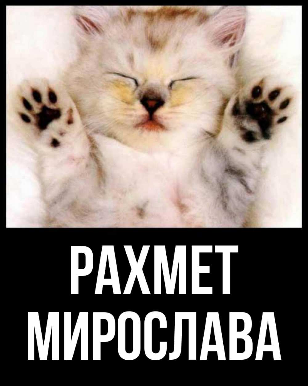 Күн сайын ашық хат с именем, Мирослава рахмет маленький котенок Онлайн тегін жүктеп алу тілектері бар керемет карта 