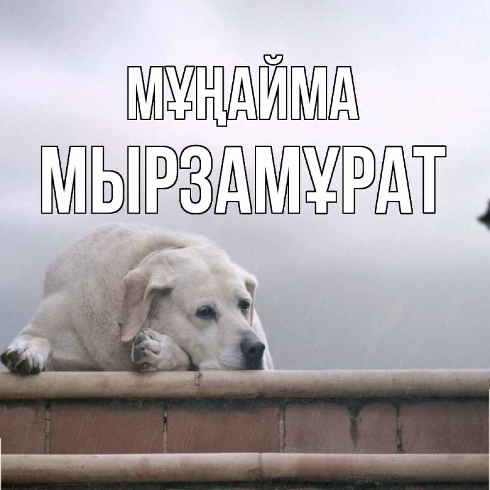 Күн сайын ашық хат с именем, Мырзамұрат Мұңайма белый пес 1 Онлайн тегін жүктеп алу тілектері бар керемет карта 