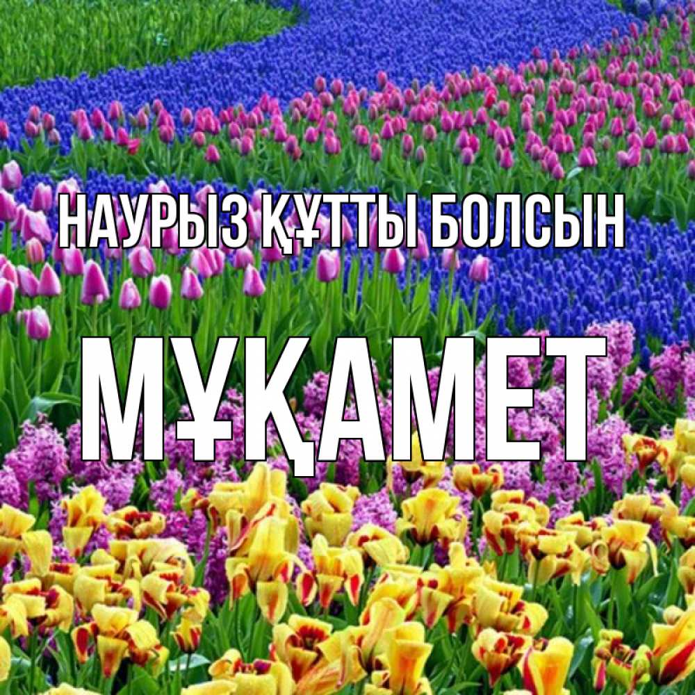 Күн сайын ашық хат с именем, МҰҚАМЕТ Наурыз құтты болсын цветы Онлайн тегін жүктеп алу тілектері бар керемет карта 