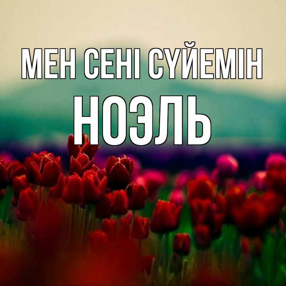 Күн сайын ашық хат с именем, НОЭЛЬ Мен сені сүйемін тюльпаны 4 Онлайн тегін жүктеп алу тілектері бар керемет карта 