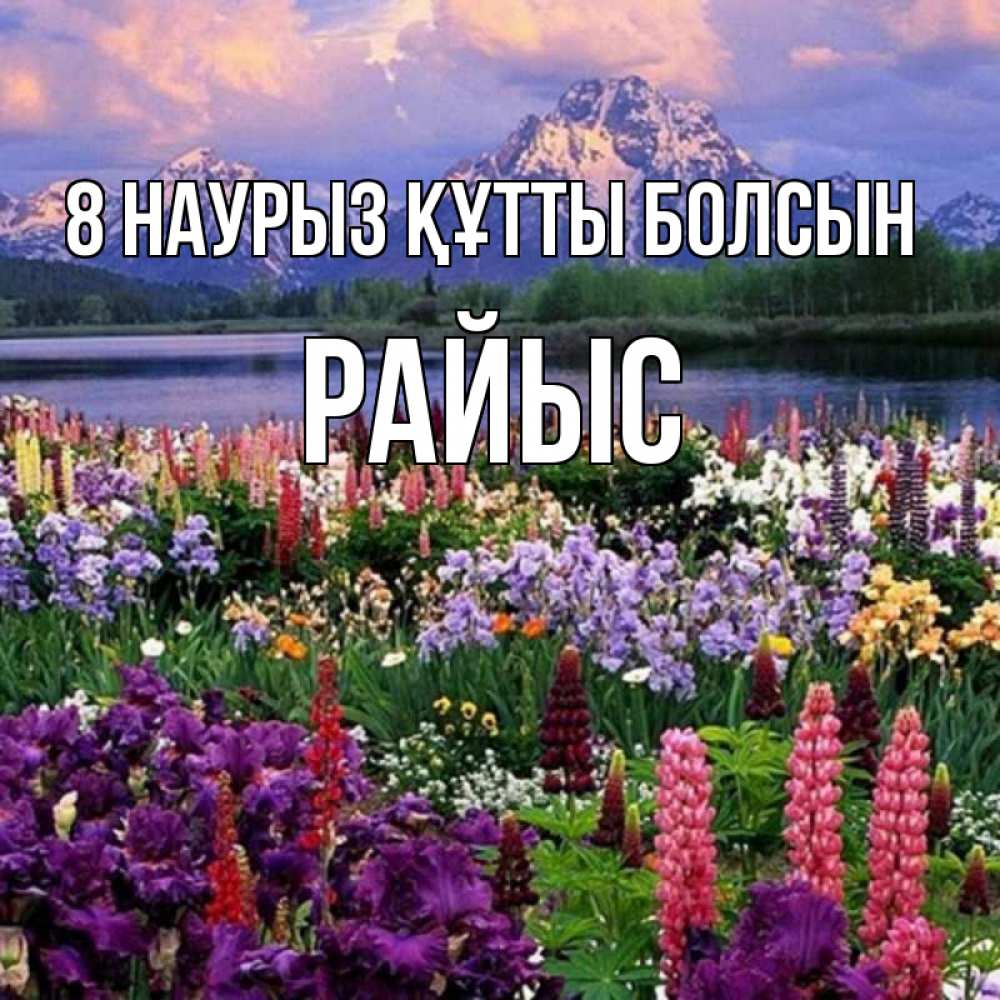 Күн сайын ашық хат с именем, РАЙЫС 8 наурыз құтты болсын международный женский день Онлайн тегін жүктеп алу тілектері бар керемет карта 