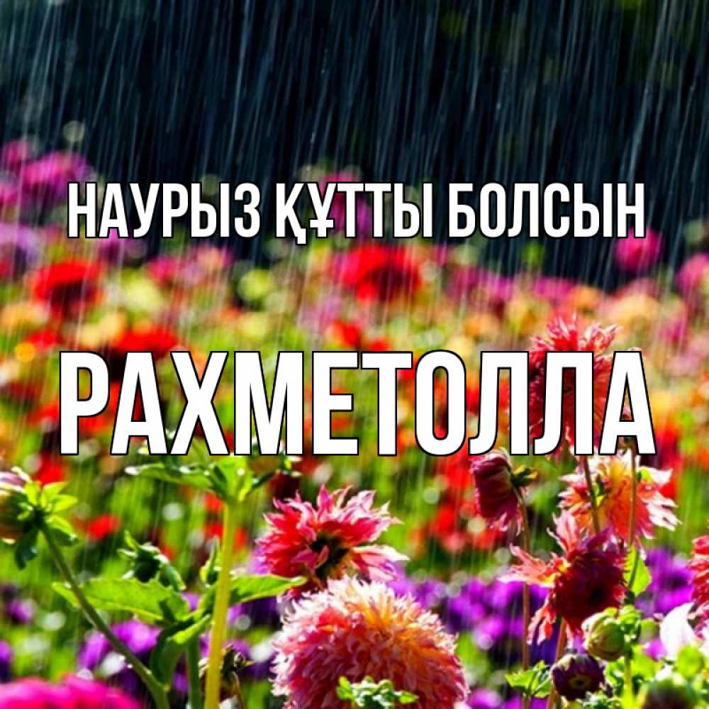 Күн сайын ашық хат с именем, РАХМЕТОЛЛА Наурыз құтты болсын цветы под дождиком к наурызу Онлайн тегін жүктеп алу тілектері бар керемет карта 