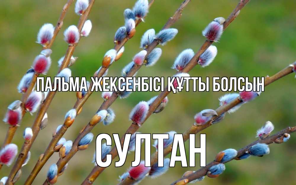 Күн сайын ашық хат с именем, Султан Пальма жексенбісі құтты болсын верба Онлайн тегін жүктеп алу тілектері бар керемет карта 