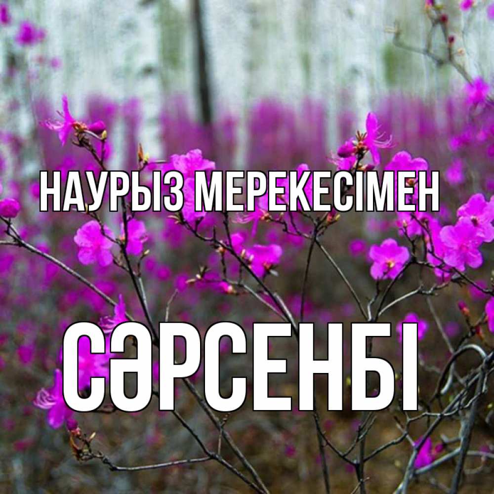 Күн сайын ашық хат с именем, СӘРСЕНБІ Наурыз мерекесімен дикие цветы Онлайн тегін жүктеп алу тілектері бар керемет карта 