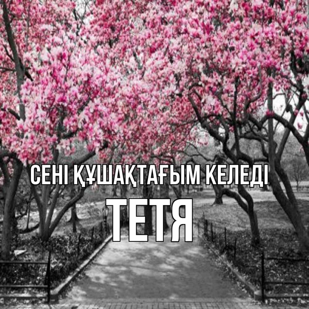 Күн сайын ашық хат с именем, Тетя сені құшақтағым келеді обработанное фото Онлайн тегін жүктеп алу тілектері бар керемет карта 