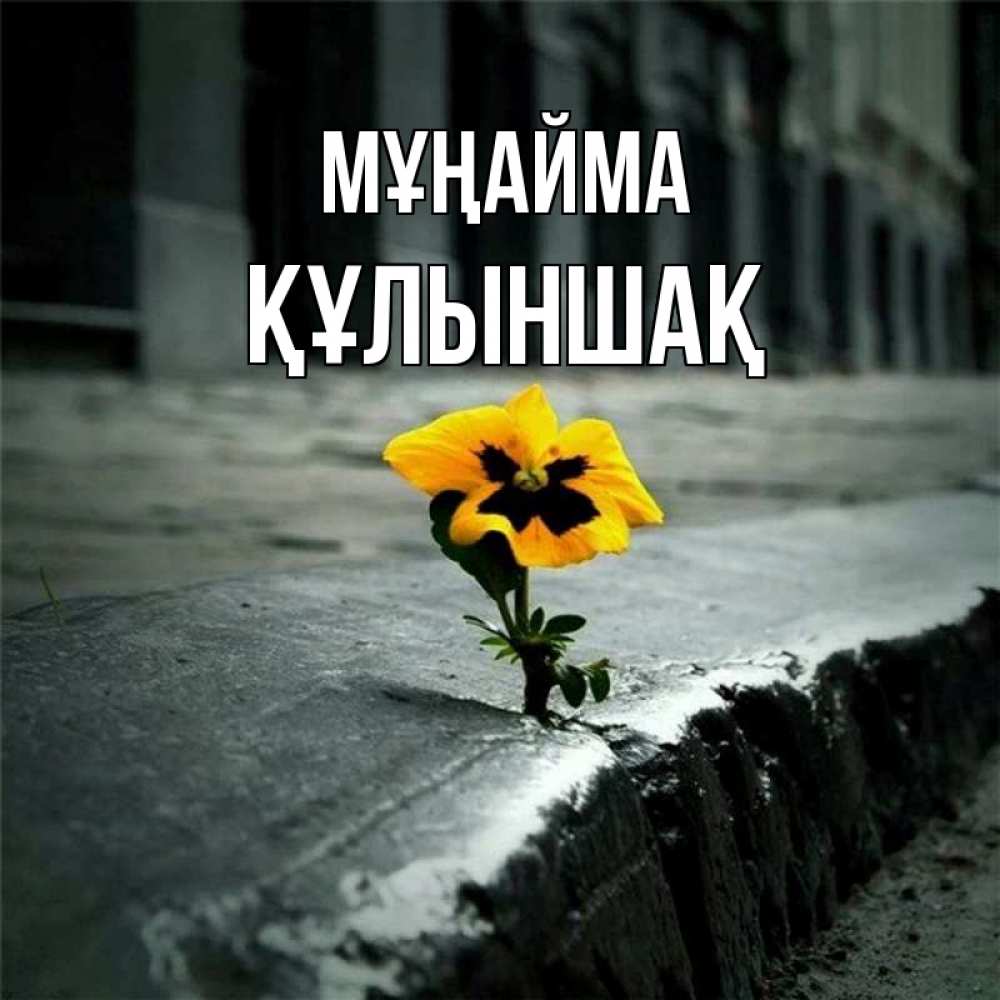 Күн сайын ашық хат с именем, ҚҰЛЫНШАҚ Мұңайма не сдавайся Онлайн тегін жүктеп алу тілектері бар керемет карта 