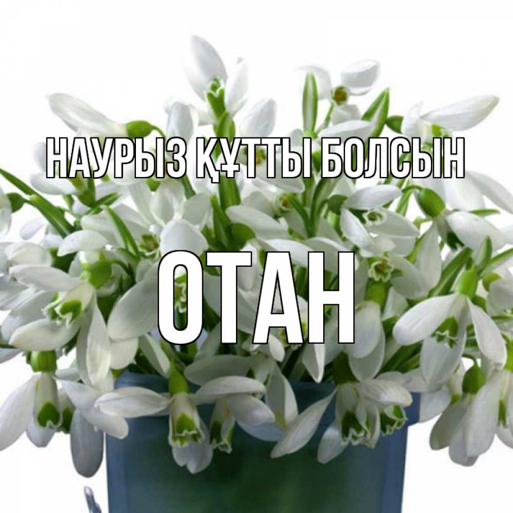 Күн сайын ашық хат с именем, ОТАН Наурыз құтты болсын цветы к наурызу Онлайн тегін жүктеп алу тілектері бар керемет карта 