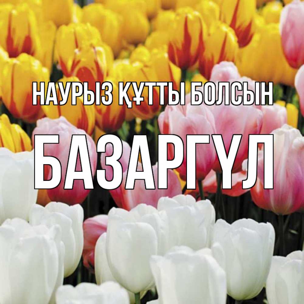 Күн сайын ашық хат с именем, БАЗАРГҮЛ Наурыз құтты болсын разноцветные цветы Онлайн тегін жүктеп алу тілектері бар керемет карта 