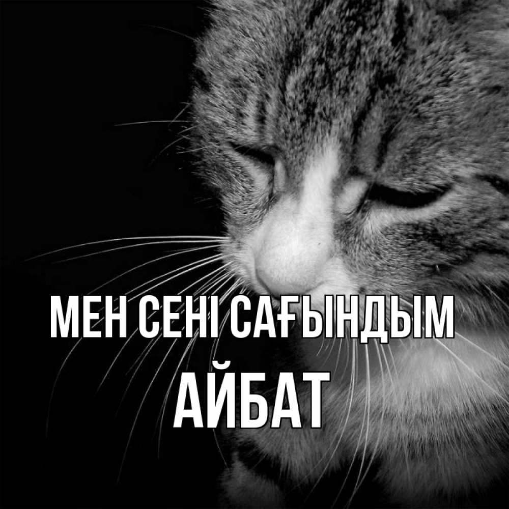 Күн сайын ашық хат с именем, Айбат Мен сені сағындым мне скучно Онлайн тегін жүктеп алу тілектері бар керемет карта 