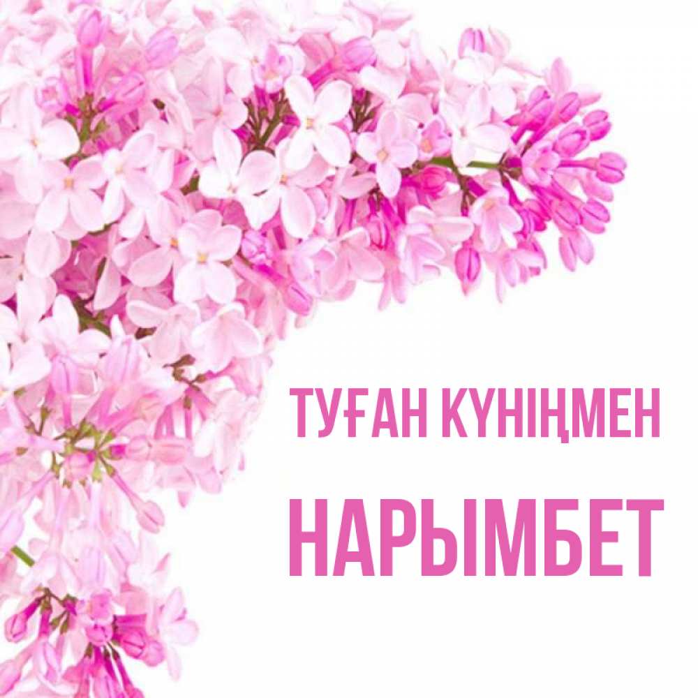 Күн сайын ашық хат с именем, Нарымбет Туған күніңмен Сирень на белом фоне Онлайн тегін жүктеп алу тілектері бар керемет карта 