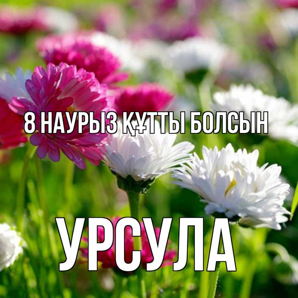 Күн сайын ашық хат с именем, Урсула 8 наурыз құтты болсын международный женский день 1 Онлайн тегін жүктеп алу тілектері бар керемет карта 