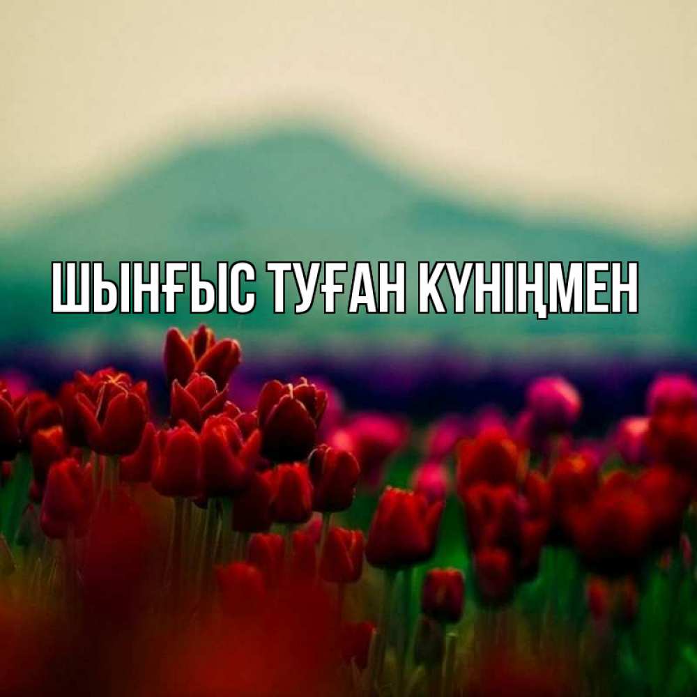 Картинка  с именем , ШЫНҒЫС! ТУҒАН КҮНІҢМЕН!