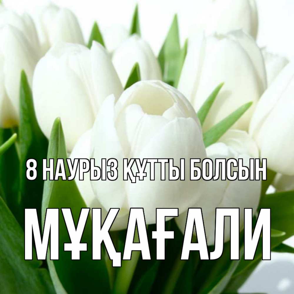 Күн сайын ашық хат с именем, МҰҚАҒАЛИ 8 наурыз құтты болсын цветы Онлайн тегін жүктеп алу тілектері бар керемет карта 