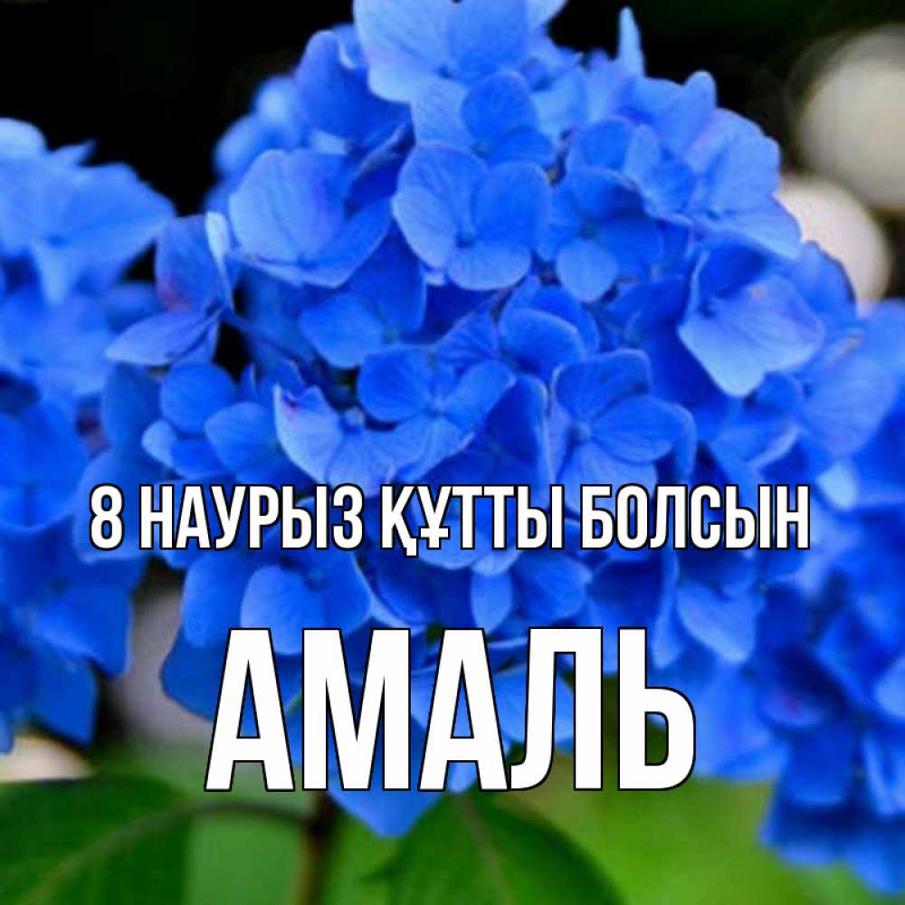 Күн сайын ашық хат с именем, Амаль 8 наурыз құтты болсын синие цветы Онлайн тегін жүктеп алу тілектері бар керемет карта 