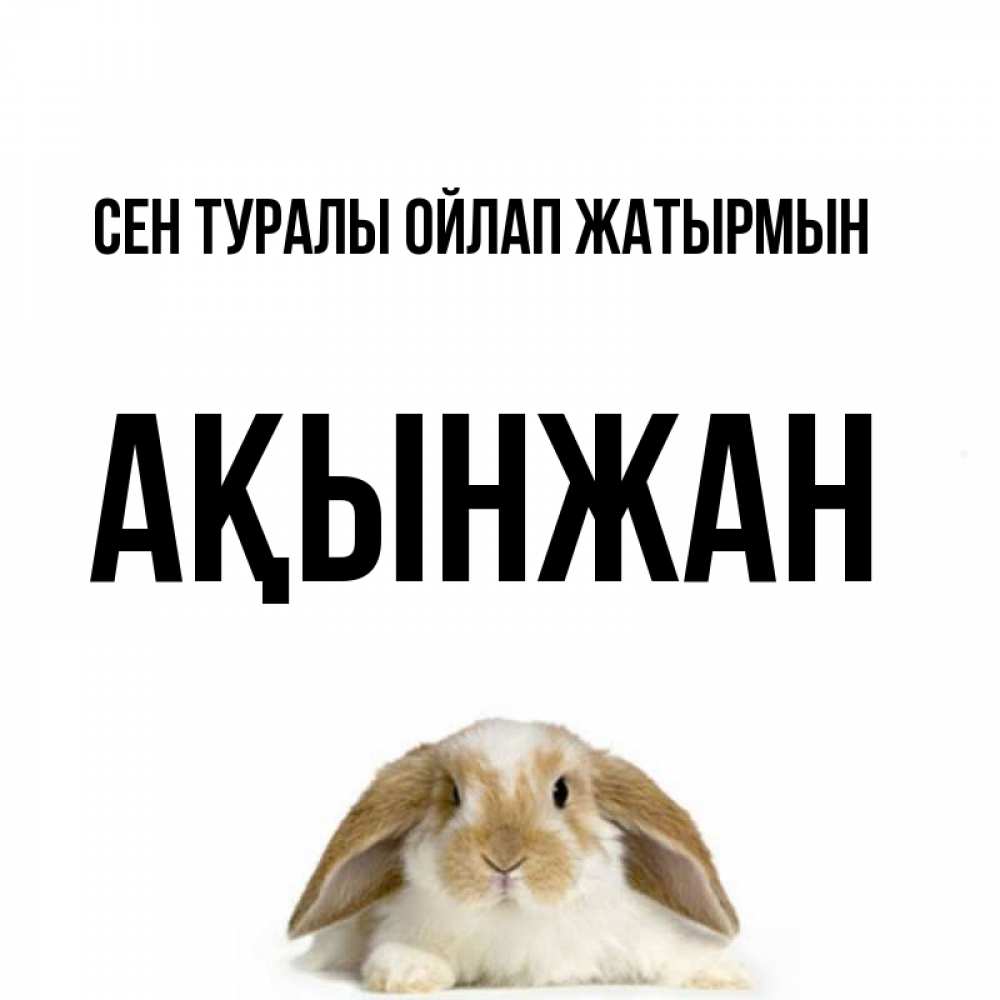 Күн сайын ашық хат с именем, Ақынжан Сен туралы ойлап жатырмын подписать своими руками онлайн Онлайн тегін жүктеп алу тілектері бар керемет карта 