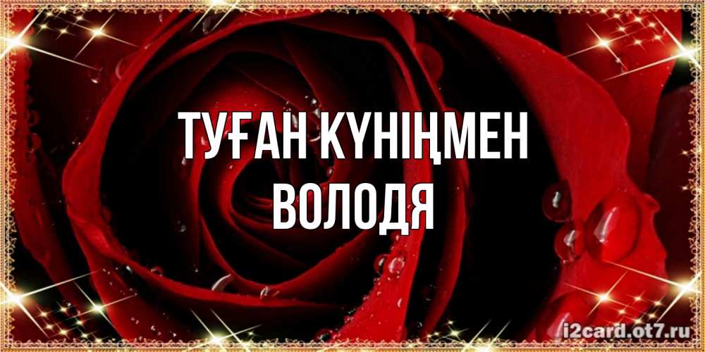 Күн сайын ашық хат с именем, Володя Туған күніңмен цветок в росе на день рождения Онлайн тегін жүктеп алу тілектері бар керемет карта 