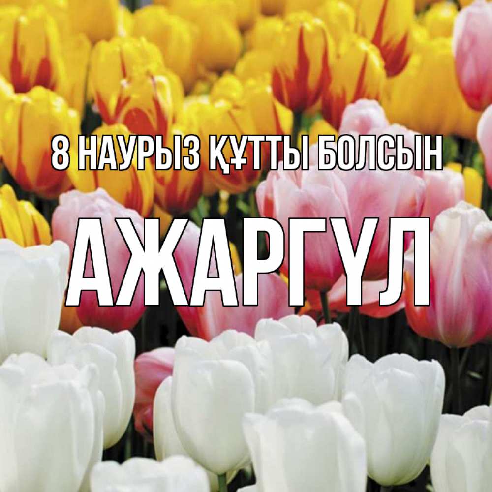 Күн сайын ашық хат с именем, АЖАРГҮЛ 8 наурыз құтты болсын разноцветные цветы Онлайн тегін жүктеп алу тілектері бар керемет карта 