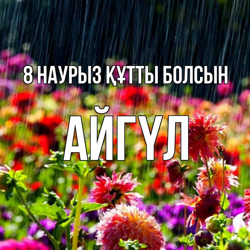 Күн сайын ашық хат с именем, АЙГҮЛ 8 наурыз құтты болсын цветы под дождиком к международному женскому дню Онлайн тегін жүктеп алу тілектері бар керемет карта 