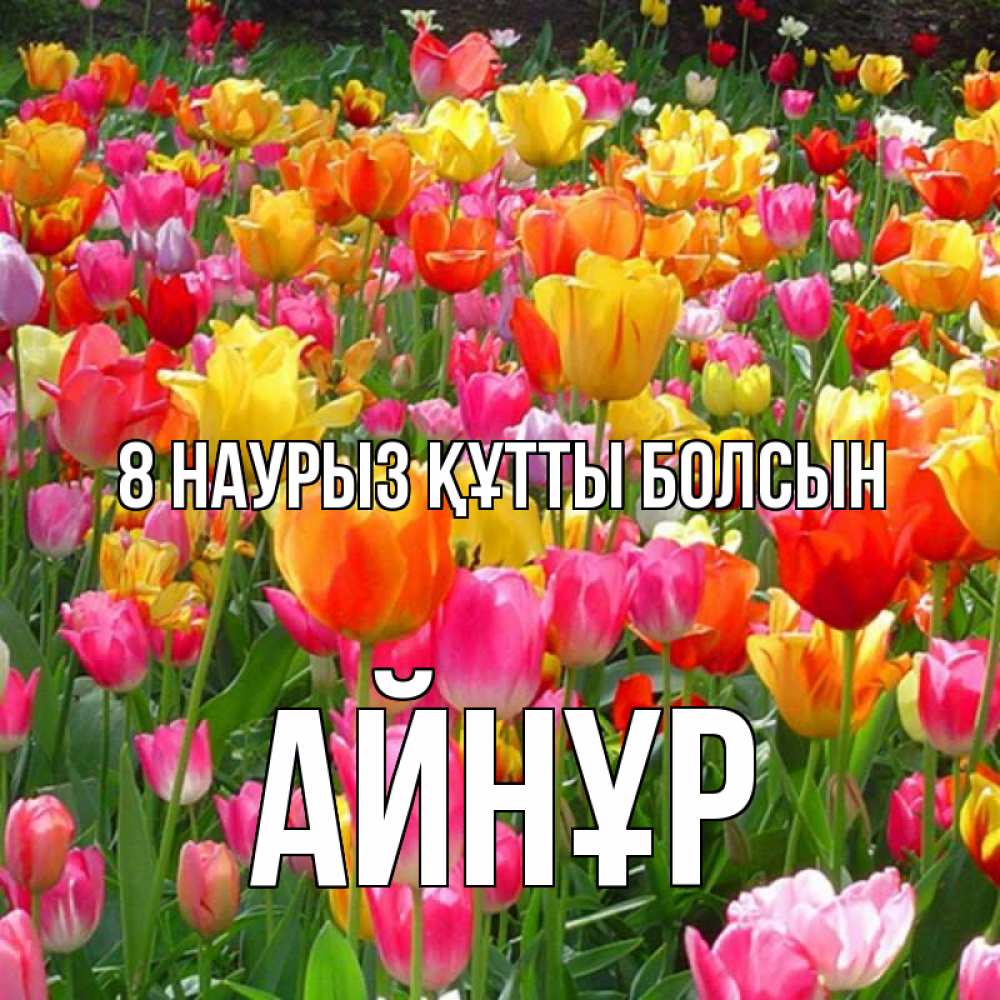 Күн сайын ашық хат с именем, АЙНҰР 8 наурыз құтты болсын на международный женский день Онлайн тегін жүктеп алу тілектері бар керемет карта 