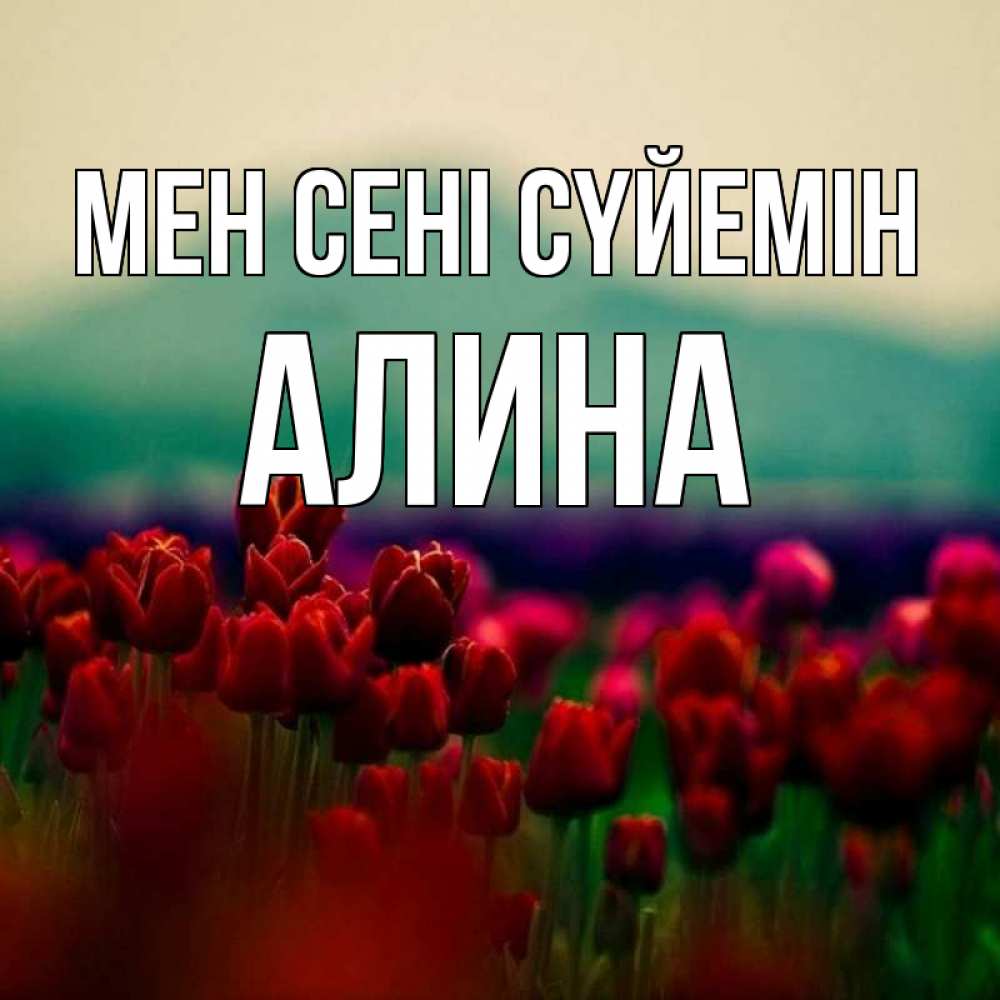 Күн сайын ашық хат с именем, Алина Мен сені сүйемін тюльпаны 4 Онлайн тегін жүктеп алу тілектері бар керемет карта 