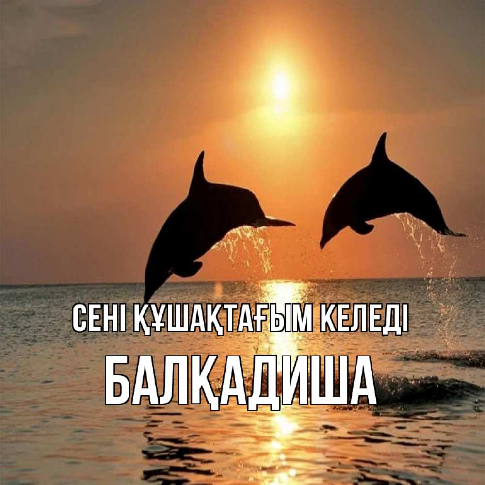 Күн сайын ашық хат с именем, БАЛҚАДИША сені құшақтағым келеді рыбы на закате Онлайн тегін жүктеп алу тілектері бар керемет карта 