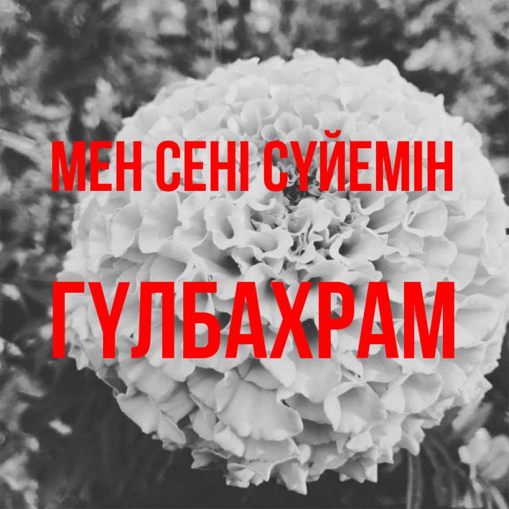 Күн сайын ашық хат с именем, ГҮЛБАХРАМ Мен сені сүйемін подпись Онлайн тегін жүктеп алу тілектері бар керемет карта 