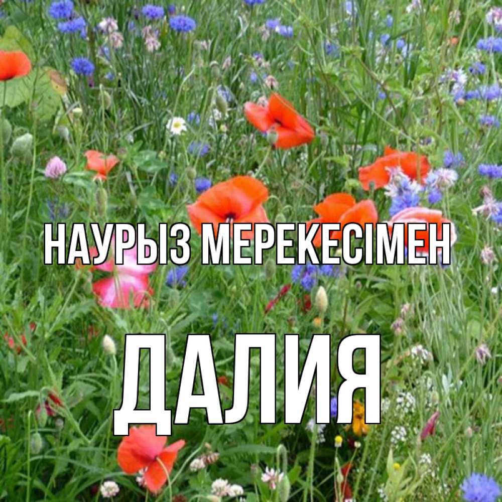 Күн сайын ашық хат с именем, Далия Наурыз мерекесімен праздник весны наурыз супер открытка Онлайн тегін жүктеп алу тілектері бар керемет карта 