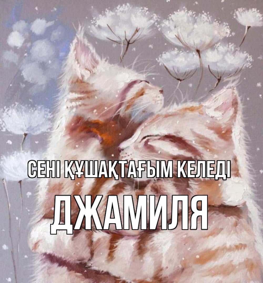 Күн сайын ашық хат с именем, Джамиля сені құшақтағым келеді Море и горы Онлайн тегін жүктеп алу тілектері бар керемет карта 