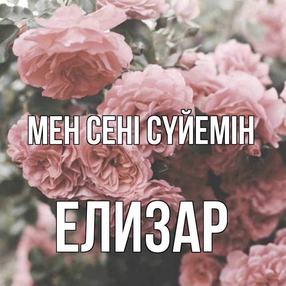 Күн сайын ашық хат с именем, Елизар Мен сені сүйемін розы 3 Онлайн тегін жүктеп алу тілектері бар керемет карта 