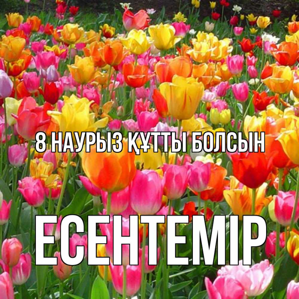 Күн сайын ашық хат с именем, Есентемір 8 наурыз құтты болсын на международный женский день Онлайн тегін жүктеп алу тілектері бар керемет карта 