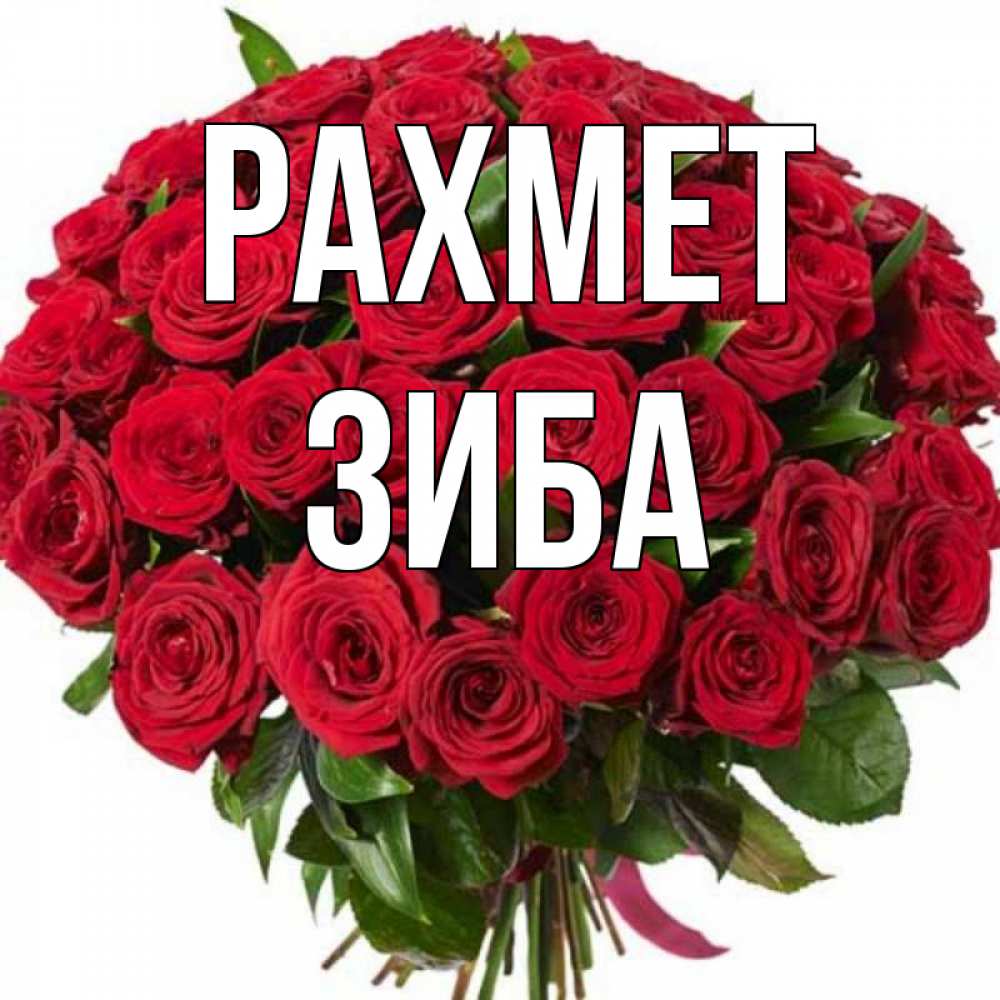 Күн сайын ашық хат с именем, ЗИБА рахмет букет красных роз Онлайн тегін жүктеп алу тілектері бар керемет карта 