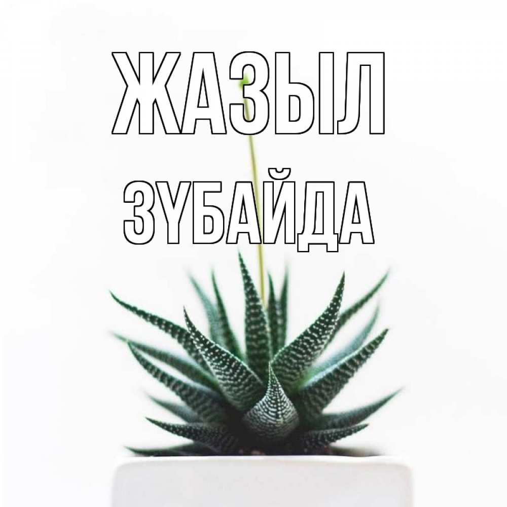Күн сайын ашық хат с именем, ЗҮБАЙДА Жазыл короче это непонятная колючка Онлайн тегін жүктеп алу тілектері бар керемет карта 