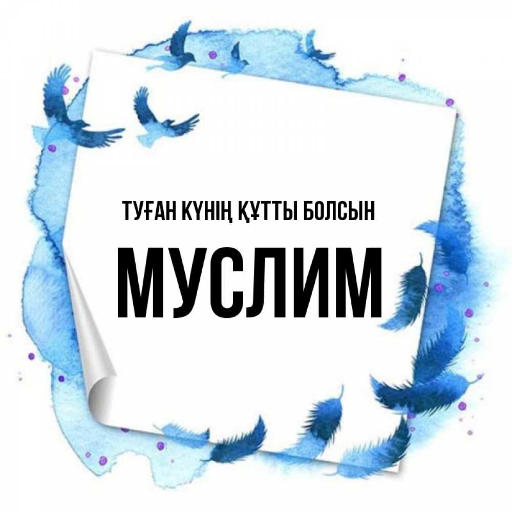 Күн сайын ашық хат с именем, Муслим Туған күнің құтты болсын красивые птицы летят Онлайн тегін жүктеп алу тілектері бар керемет карта 