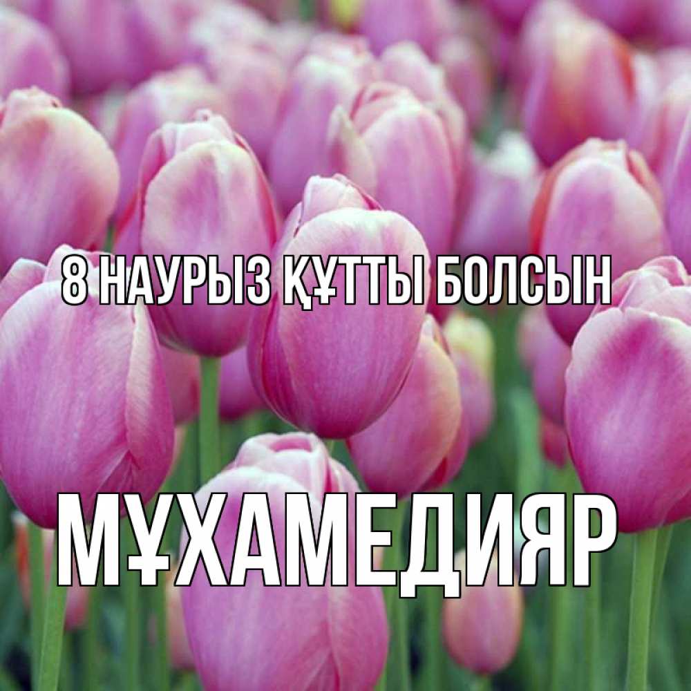 Күн сайын ашық хат с именем, МҰХАМЕДИЯР 8 наурыз құтты болсын на международный женский день 3 Онлайн тегін жүктеп алу тілектері бар керемет карта 