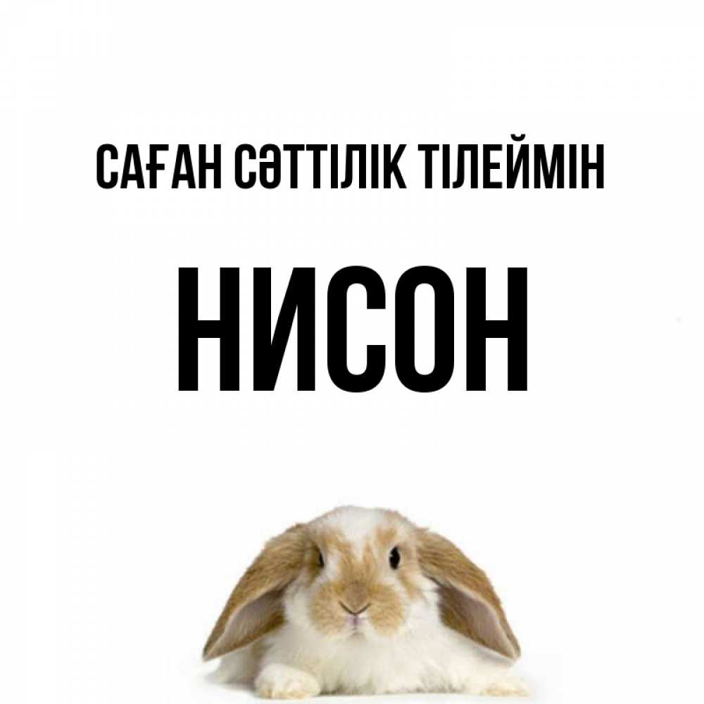 Күн сайын ашық хат с именем, Нисон Саған сәттілік тілеймін открытки с произвольным текстом который можно вставить в открытку и создать ее самостоятельно бесплатно онлайн Онлайн тегін жүктеп алу тілектері бар керемет карта 