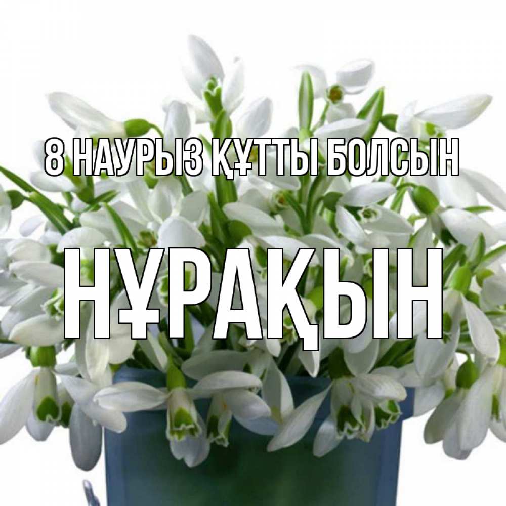 Күн сайын ашық хат с именем, НҰРАҚЫН 8 наурыз құтты болсын цветы к международному женскому дню Онлайн тегін жүктеп алу тілектері бар керемет карта 