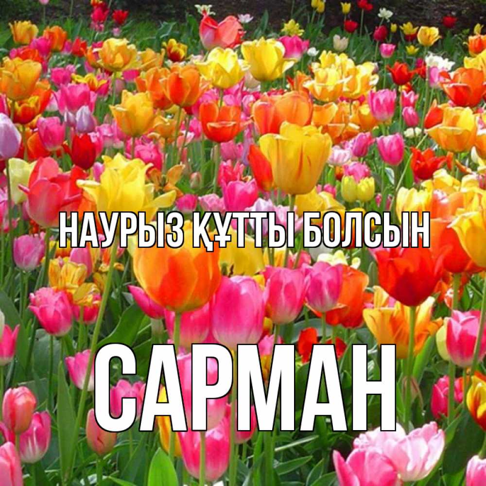 Күн сайын ашық хат с именем, САРМАН Наурыз құтты болсын на наурыз  ура ура Онлайн тегін жүктеп алу тілектері бар керемет карта 