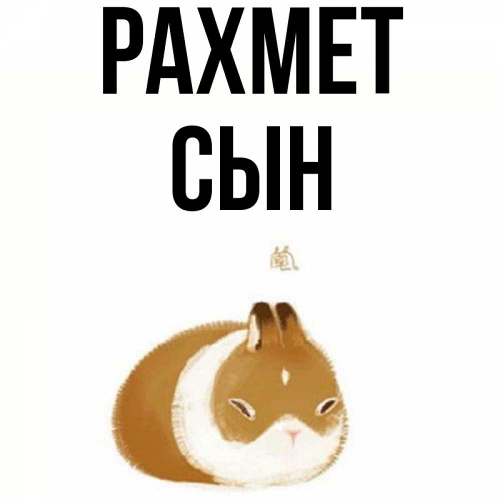 Күн сайын ашық хат с именем, Сын рахмет коричнево белый домашний питомец Онлайн тегін жүктеп алу тілектері бар керемет карта 