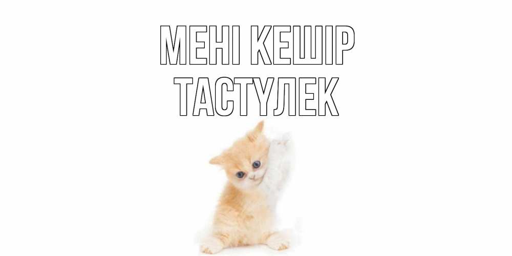 Күн сайын ашық хат с именем, ТАСТҮЛЕК Мені кешір кот Онлайн тегін жүктеп алу тілектері бар керемет карта 