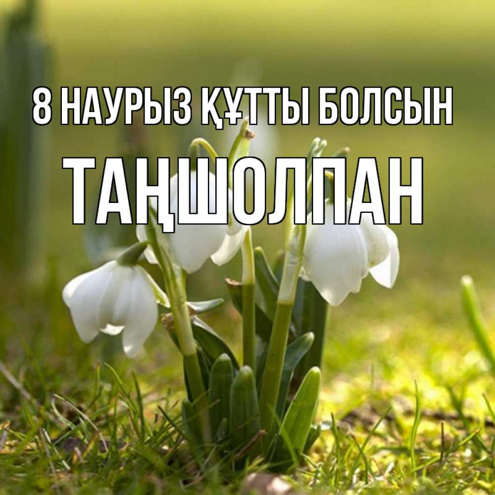 Күн сайын ашық хат с именем, ТАҢШОЛПАН 8 наурыз құтты болсын ранние цветы 2 Онлайн тегін жүктеп алу тілектері бар керемет карта 