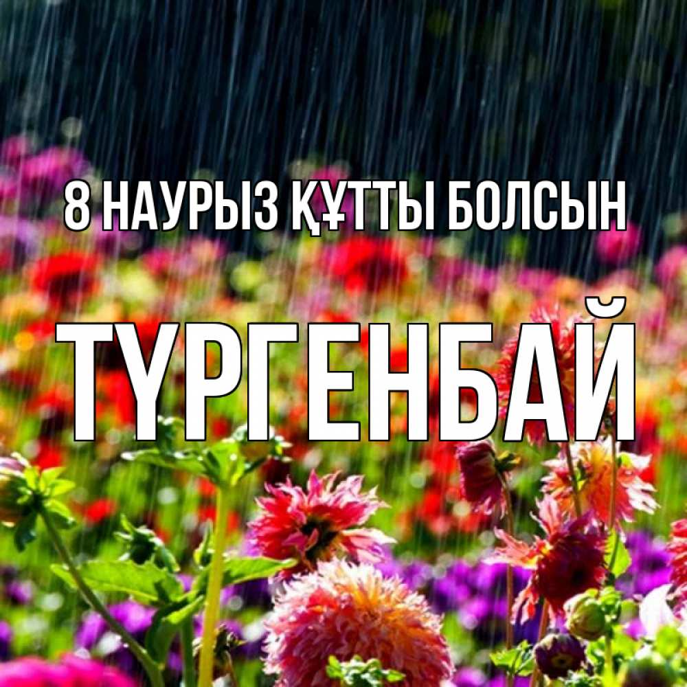 Күн сайын ашық хат с именем, ТҮРГЕНБАЙ 8 наурыз құтты болсын цветы под дождиком к международному женскому дню Онлайн тегін жүктеп алу тілектері бар керемет карта 