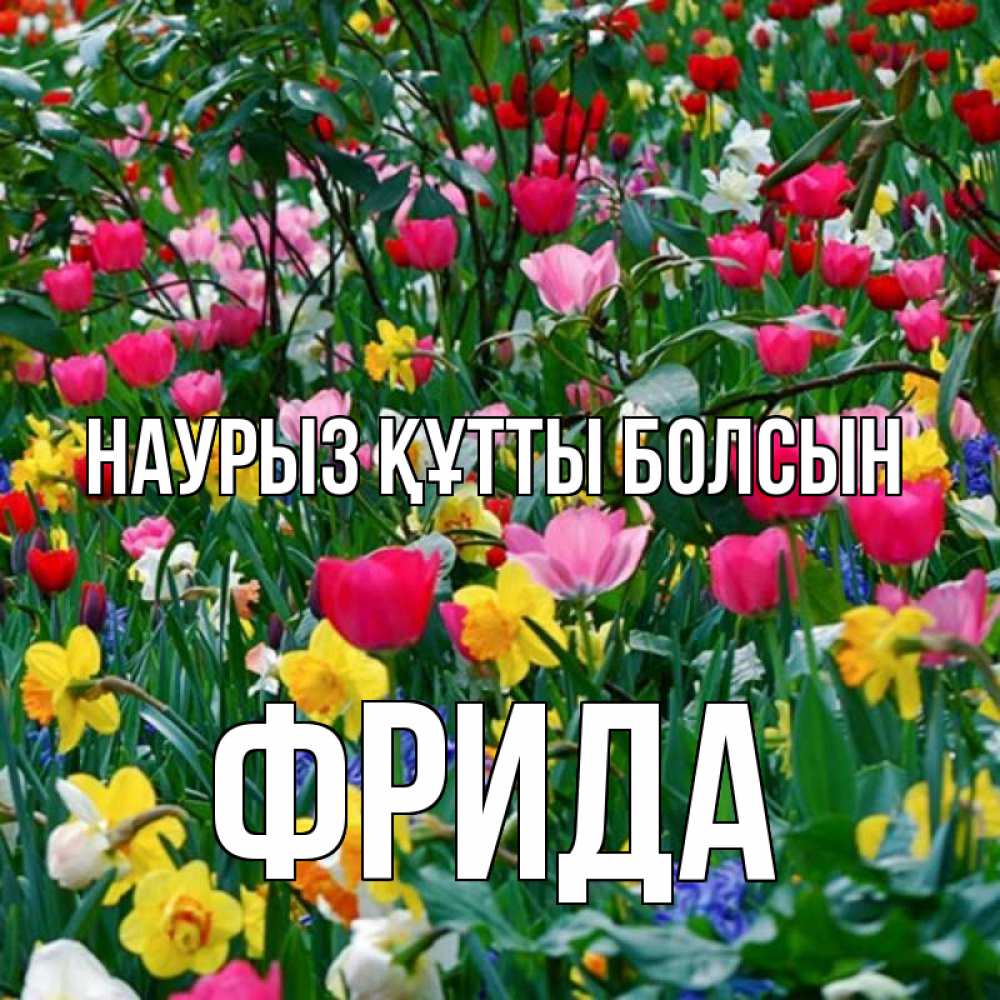 Күн сайын ашық хат с именем, Фрида Наурыз құтты болсын с наурызом поздравления для женщины Онлайн тегін жүктеп алу тілектері бар керемет карта 