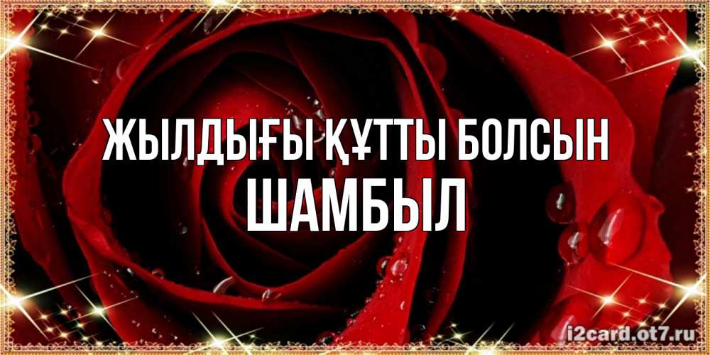 Күн сайын ашық хат с именем, ШАМБЫЛ Жылдығы құтты болсын цветок в росе на день рождения Онлайн тегін жүктеп алу тілектері бар керемет карта 