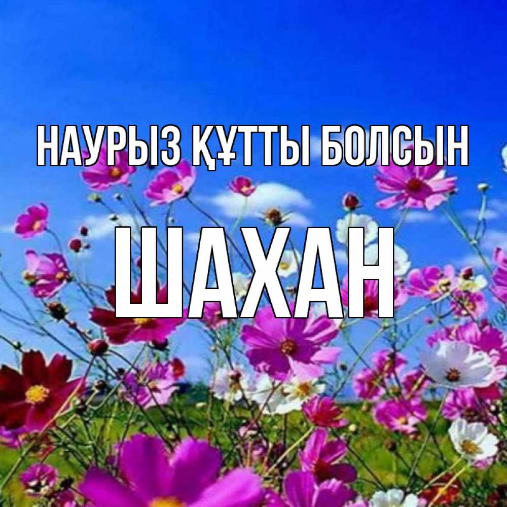 Күн сайын ашық хат с именем, ШАХАН Наурыз құтты болсын цветы Онлайн тегін жүктеп алу тілектері бар керемет карта 