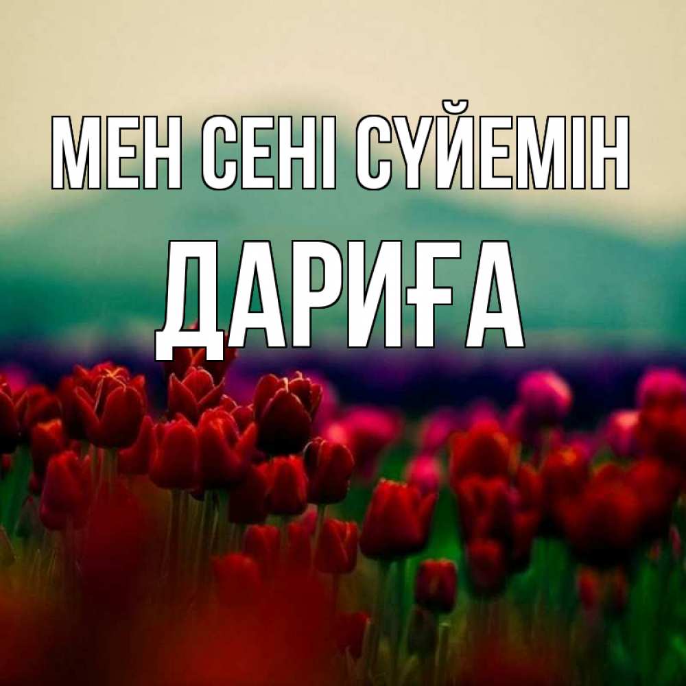 Күн сайын ашық хат с именем, ДАРИҒА Мен сені сүйемін тюльпаны 4 Онлайн тегін жүктеп алу тілектері бар керемет карта 