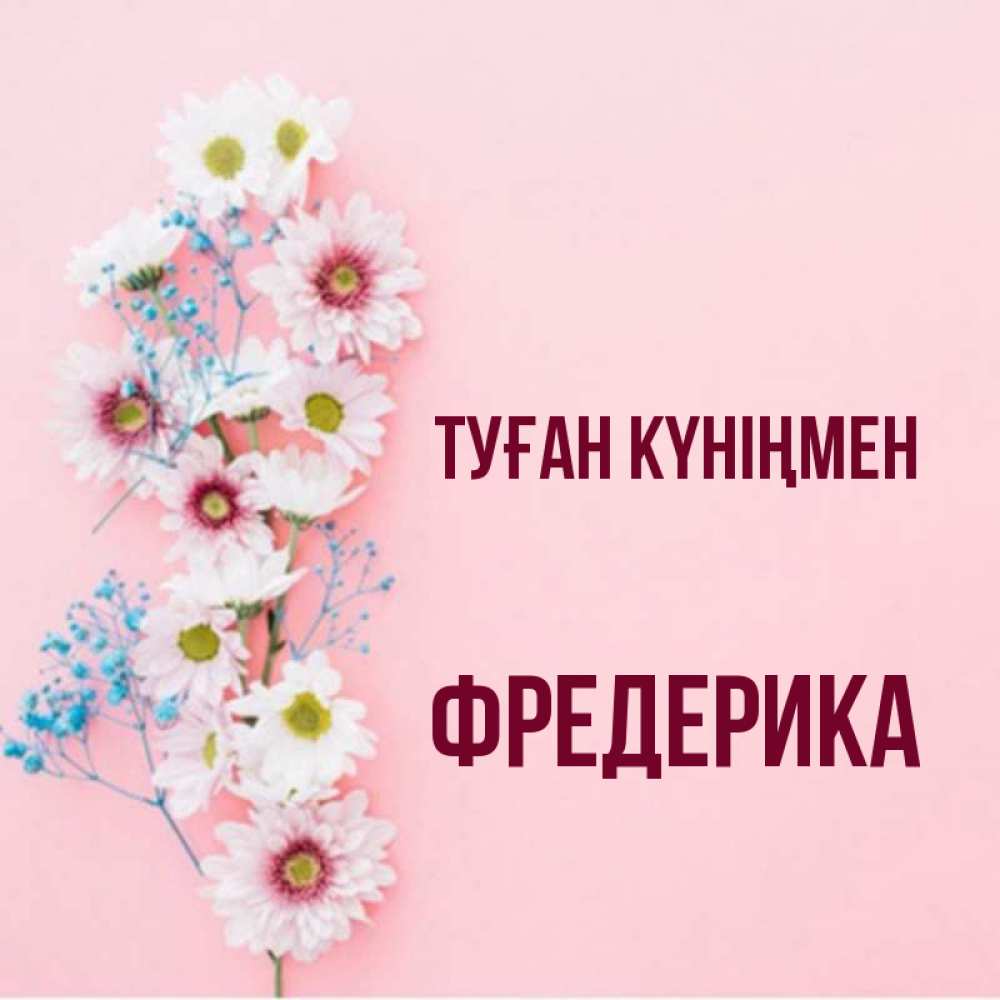 Күн сайын ашық хат с именем, Фредерика Туған күніңмен Родная моя с днем рождения тебя картинка с цветами белыми и голубыми Онлайн тегін жүктеп алу тілектері бар керемет карта 