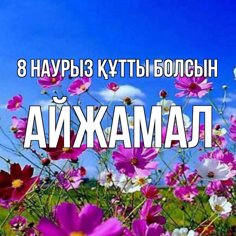 Күн сайын ашық хат с именем, АЙЖАМАЛ 8 наурыз құтты болсын цветы Онлайн тегін жүктеп алу тілектері бар керемет карта 