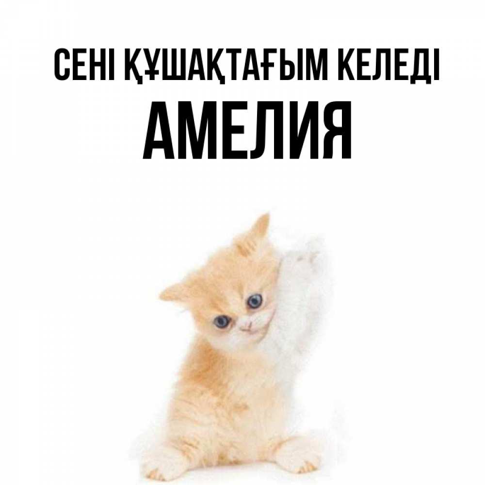 Күн сайын ашық хат с именем, Амелия сені құшақтағым келеді я хочу очень скорее обнимаешек Онлайн тегін жүктеп алу тілектері бар керемет карта 