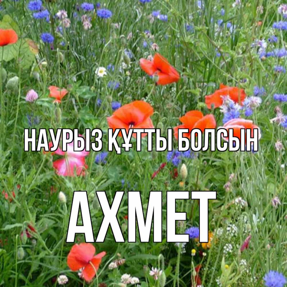 Күн сайын ашық хат с именем, Ахмет Наурыз құтты болсын наурыз  4 Онлайн тегін жүктеп алу тілектері бар керемет карта 